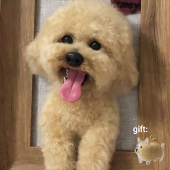 wool felt pet Frame