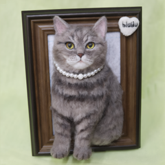 wool felt pet Frame