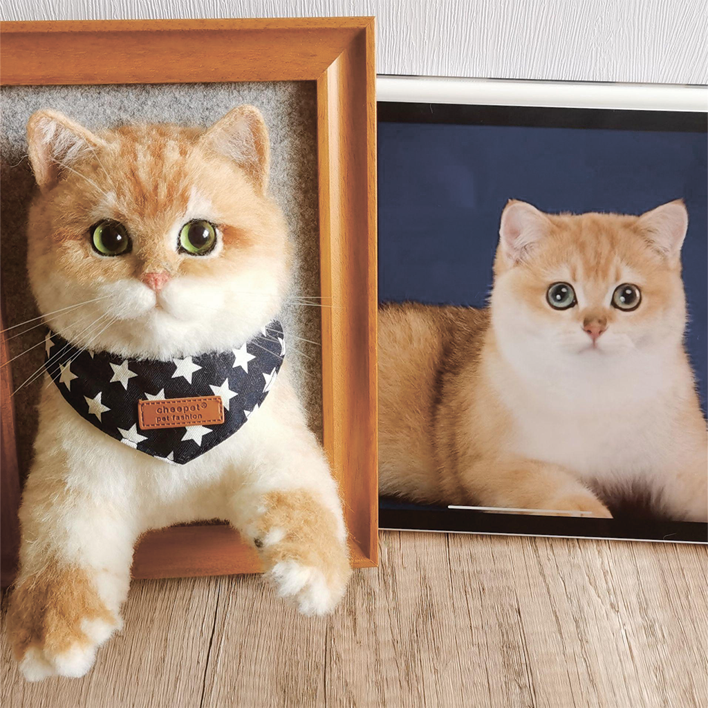 wool felt pet Frame