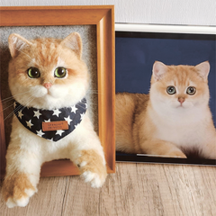 wool felt pet Frame