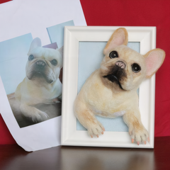 wool felt pet Frame
