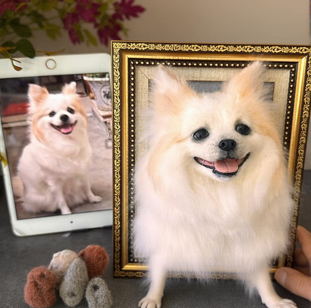 wool felt pet Frame